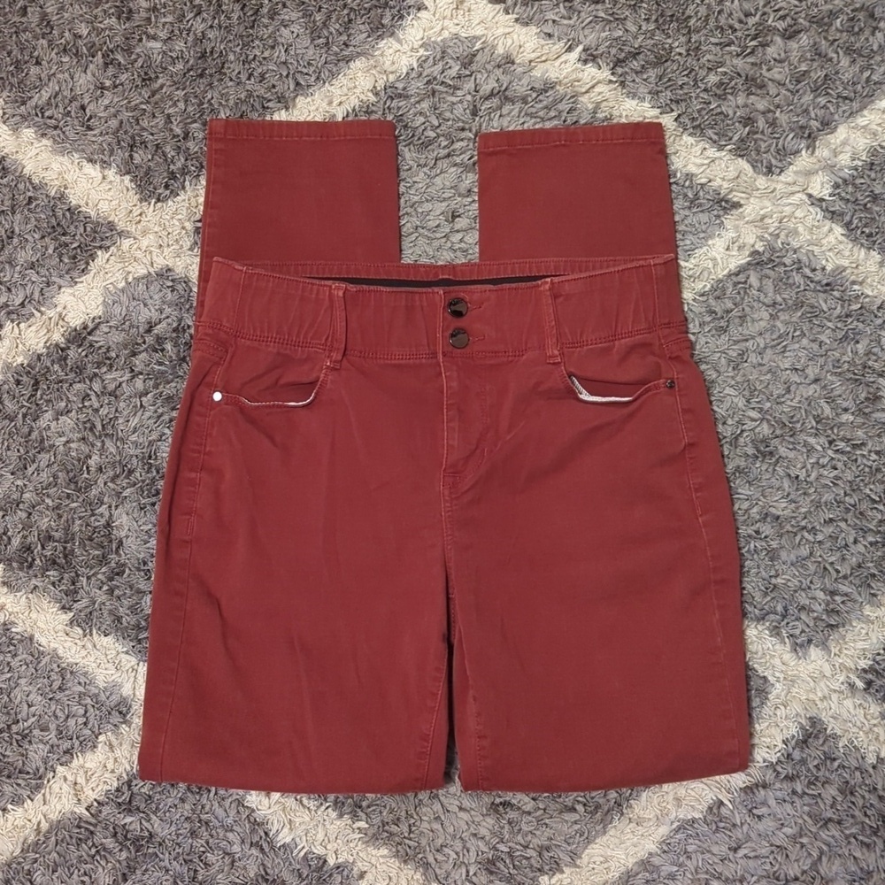 Apt. 9 Straight Leg Elastic Waist Pant Soft and Stretchy Rust colored Size 12